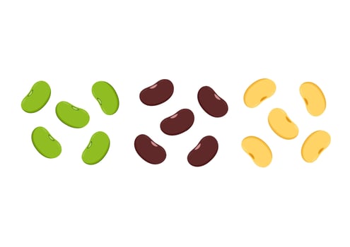 Mung bean, Kidney bean and Soy bean on white background. vector