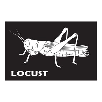 grasshopper icon design vector