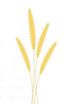 Wheat pattern wallpaper. oat symbol. free space for text. rice sign. Rice pattern wallpaper. vector
