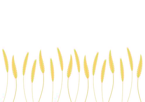 Wheat pattern wallpaper. oat symbol. free space for text. rice sign. Rice pattern wallpaper. vector