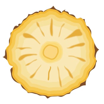 A Half Slice of Pineapple Fruit Illustration vector