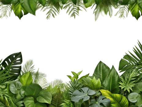 Tropical Leaves Header and Footer Border Isolated on Transparent Background png