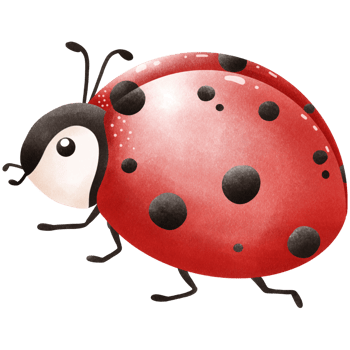 ThePosture of a Little ladybug png