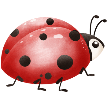 ThePosture of a Little ladybug png