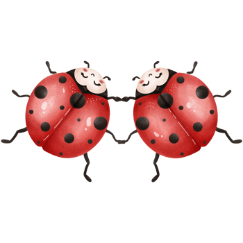 ThePosture of a Little ladybug png