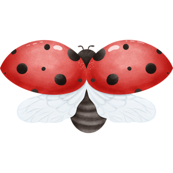 ThePosture of a Little ladybug png