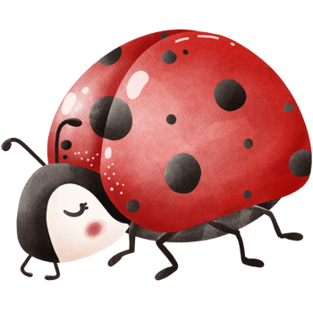 ThePosture of a Little ladybug png