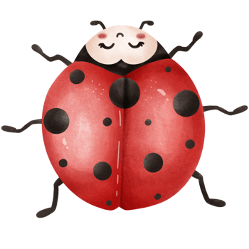 ThePosture of a Little ladybug png