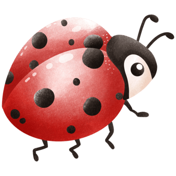 ThePosture of a Little ladybug png