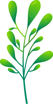 cute plants and flower png