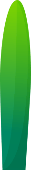 green plant grass png