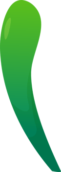 green plant grass png