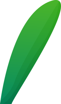 green plant grass png