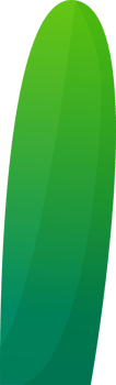 green plant grass png