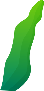 green plant grass png