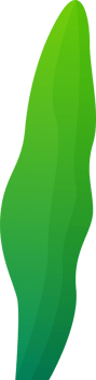 green plant grass png