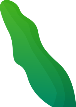 green plant grass png