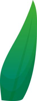 green plant grass png