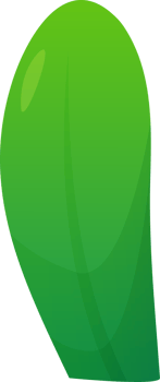 green plant grass png
