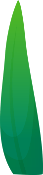 green plant grass png