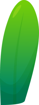 green plant grass png