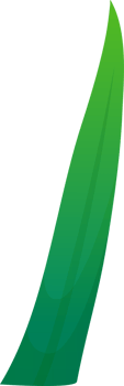 green plant grass png