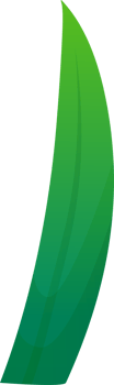 green plant grass png