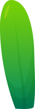green plant grass png