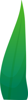 green plant grass png