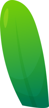 green plant grass png
