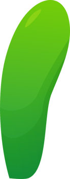 green plant grass png