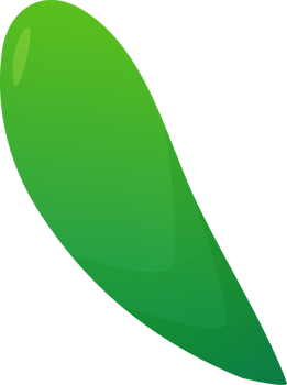 green plant grass png