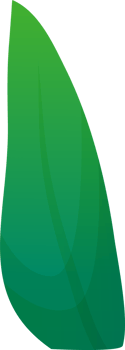 green plant grass png