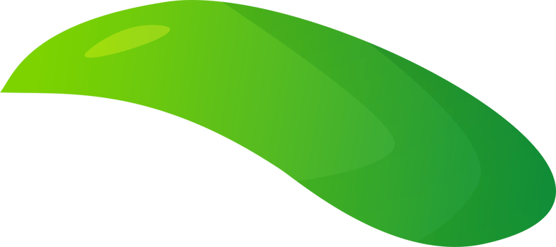 green plant grass png