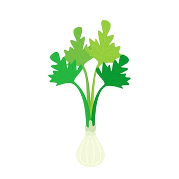 Coriander character design. Coriander cartoon on white background. vector