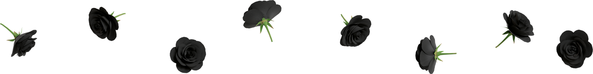black rose flowers png