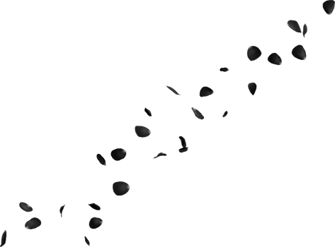 falling black rose png