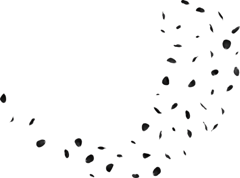black rose petals png