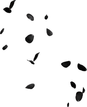 falling black rose png