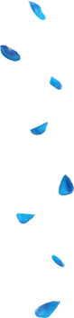 blue rose petals png