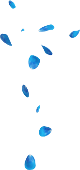 blue rose petals png