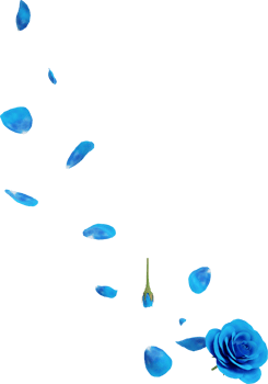 blue flower petals png