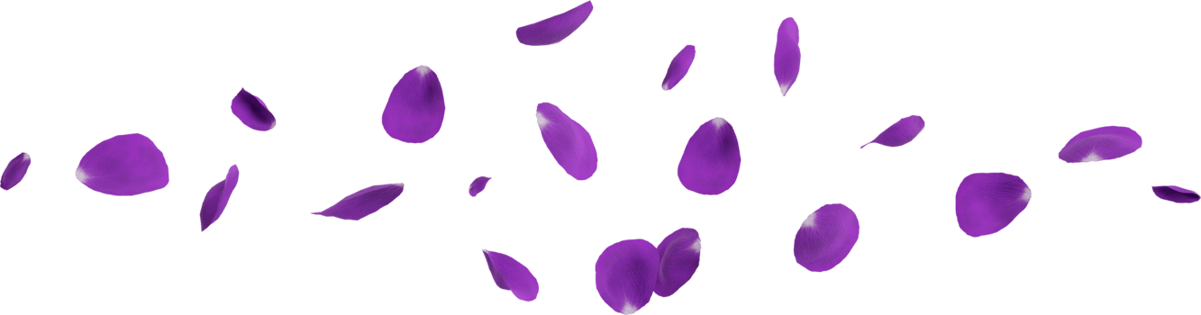 purple flower petals png