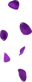 violet flower petals png
