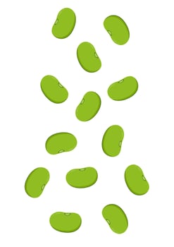 Mung Bean . Mung Bean on white background. vector