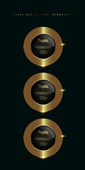 Three Gold shiny metallic golden button infographic, of Set of three Circles Luxury button, with buttons on Dark, premuim button of circle shape vector