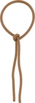 rustic brown rope png