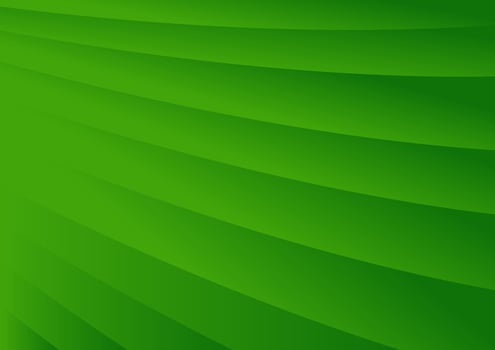 banana leaf pattern. wallpaper. free space for text. copy space. vector
