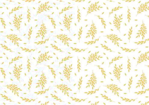Wheat pattern wallpaper. oat symbol. free space for text. rice sign. Rice pattern wallpaper. vector