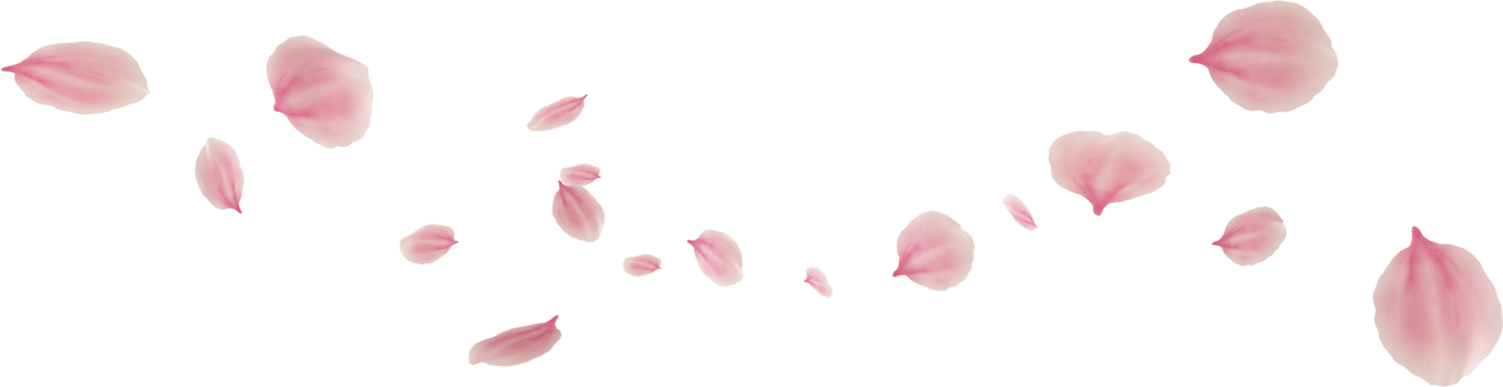 floating cherry blossom petals png